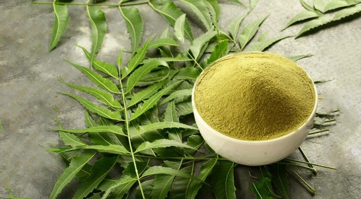 নিমে যে রোগের নিরাময় হয়