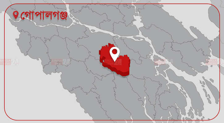 গোপালগঞ্জের সহিংসতার ঘটনায় আরও এক মামলা, মোট ১৩