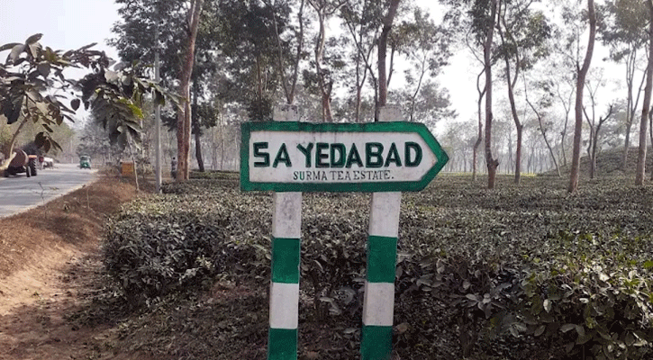 সাতছড়ি সড়কে গাছ ফেলে ডাকাতি
