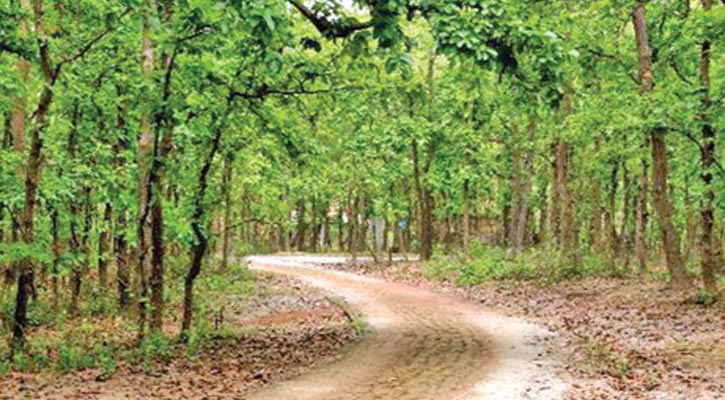 গাজীপুরের শালবনে এক ব্যক্তির মরদেহ