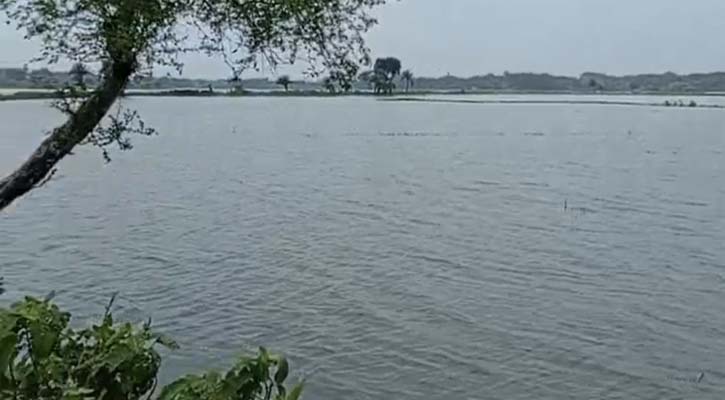 ঝিনাইদহে টানা বৃষ্টিতে পানির নিচে হাজার হাজার বিঘা ফসলি জমি