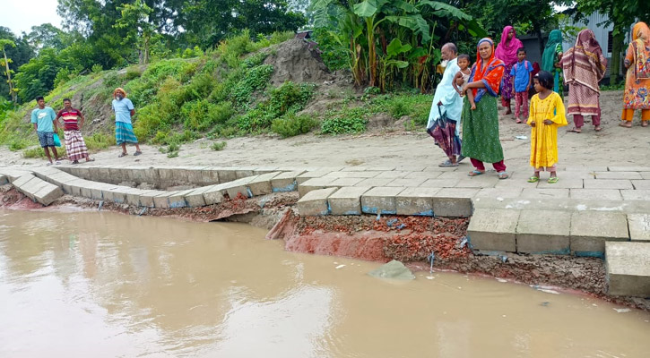 নির্মাণ কাজ শেষ হওয়ার আগেই মধুমতির তীর রক্ষা বাঁধে ধস