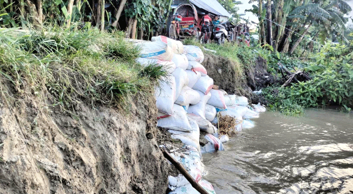 চরভদ্রাসনে পদ্মার ভাঙন ঝুঁকিতে নদীপাড়ের মানুষ
