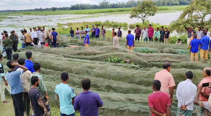 ঠাকুরগাঁওয়ে পোনা রক্ষায় ৪ লাখ টাকার অবৈধ জাল জব্দ ও ধ্বংস