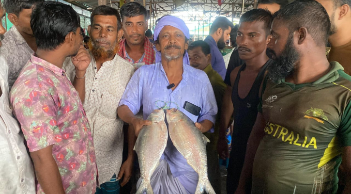 মেঘনার ২ ইলিশ সাড়ে ১১ হাজার টাকায় বিক্রি