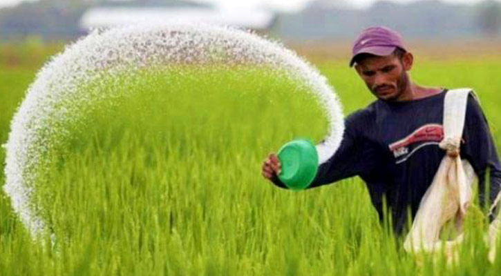 ১,৫১৫ কোটি টাকা ব্যয়ে এক লাখ ৯৫ হাজার টন সার কিনবে সরকার