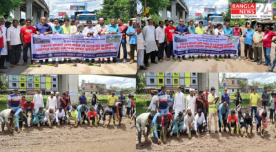 কেডিএকে লাল কার্ড, শিপইয়ার্ড সড়কে ধানের চারা রোপণ করে নিসচার প্রতিবাদ