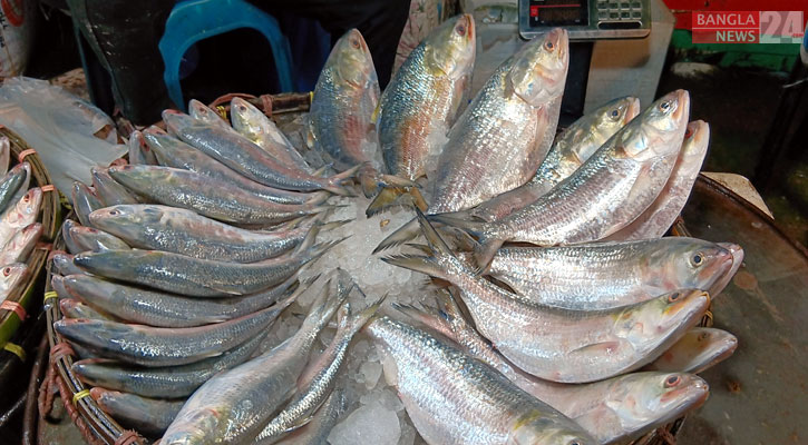 শেষরাতে ইলিশ ক্রয়-বিক্রয়ের ধুম, দাম বেশি