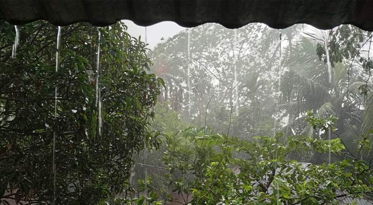 দুই বিভাগে তুলনামূলক বেশি বৃষ্টি হতে পারে