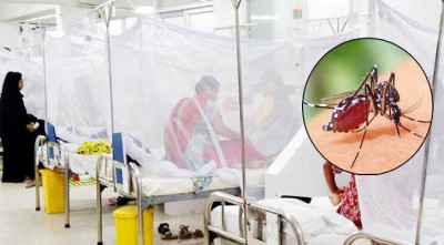 ডেঙ্গুতে ২ জনের মৃত্যু, হাসপাতালে ভর্তি ৭৬২